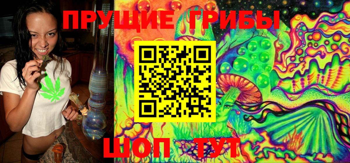 Волоколамск  Псилоцибиновые грибы Psilocybine cubensis  Галлюциногенные грибы MAGIC MUSHROOMS  Вход с VPN 